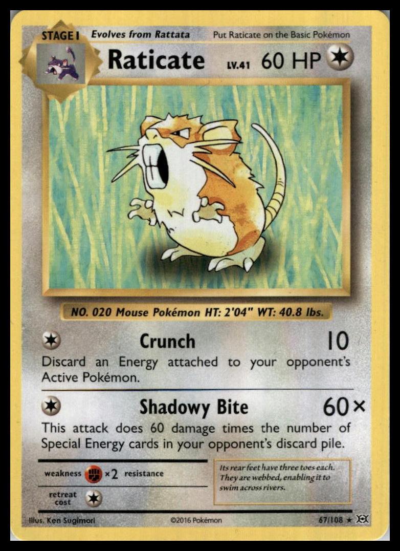 Raticate Rare 67/108 XY - Evolutions Pokémon 000159