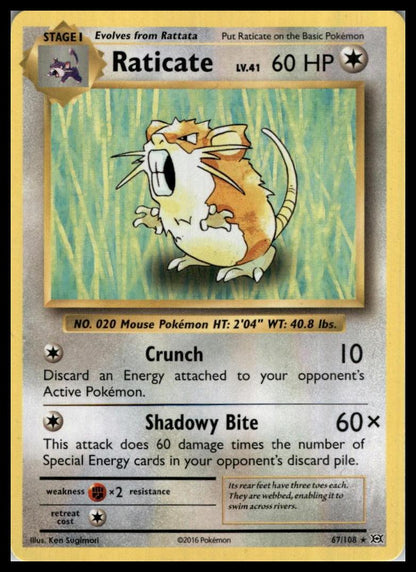 Raticate Rare 67/108 XY - Evolutions Pokémon 000159